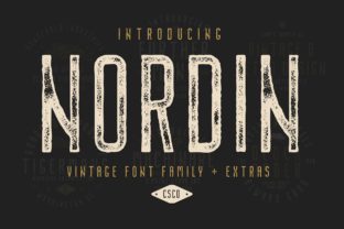 The Nordin Family: A Versatile and Stylish Font for Every Design Project