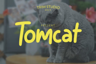 Tomcat: A Strategic Tool for Creative and Professional Growth