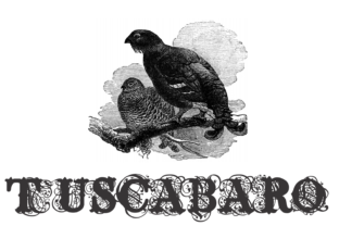 Tuscabaro: The Perfect Blend of Style and Sophistication